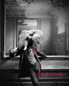Elephant Rumble - dandy cover
