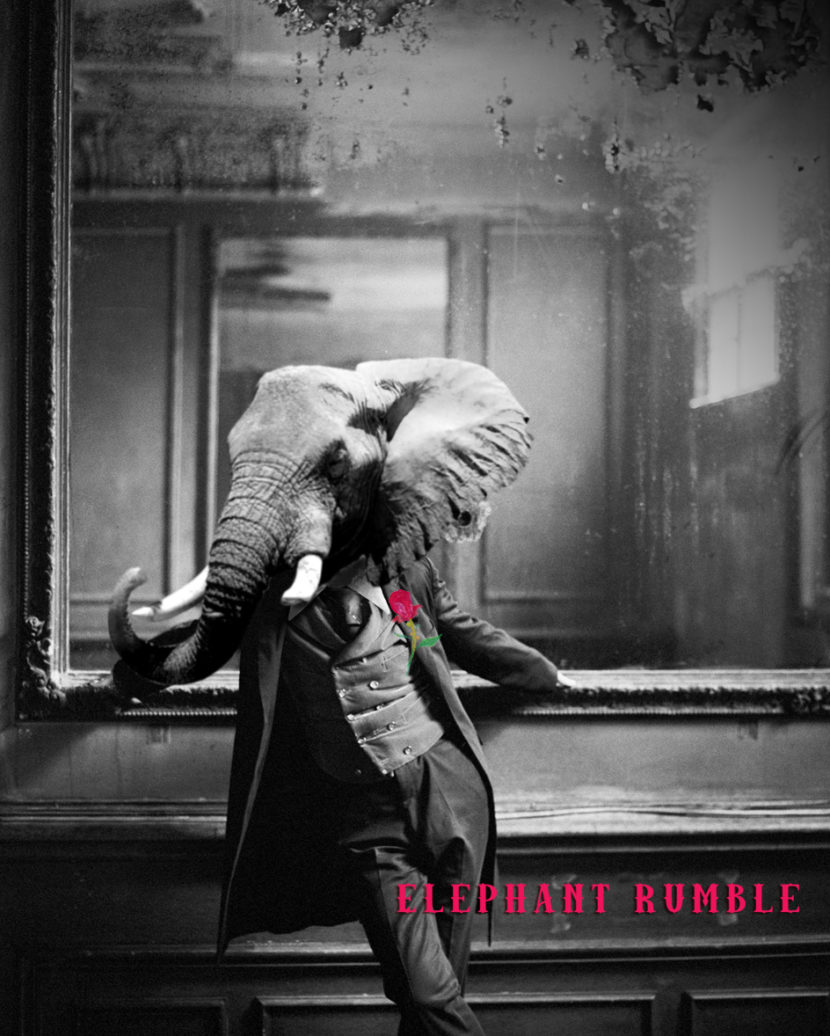 Elephant Rumble – Quello che più si avvicina al suono di un branco di ...